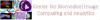 cbica logo