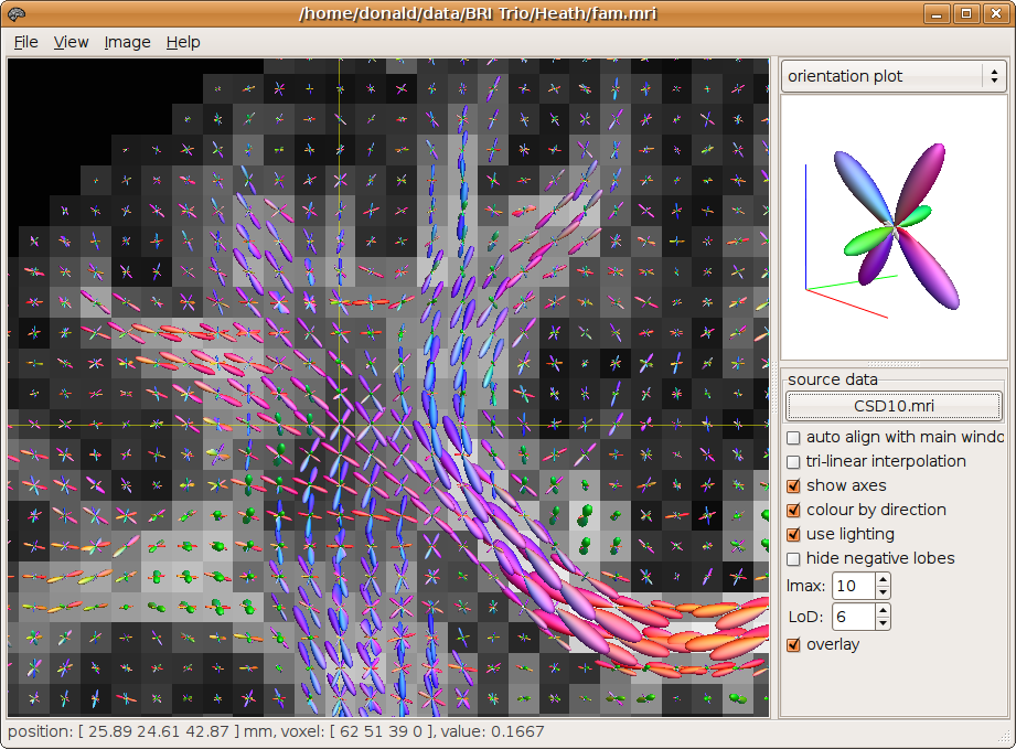 The new orientation plot overlay feature