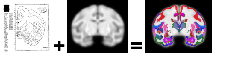 Graphical Abstract