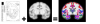 Graphical Abstract