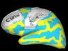 cgrid_txt