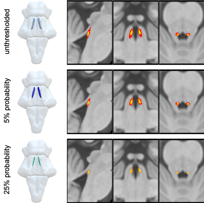 probabilistic LC maps