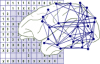 CoCoMac logo