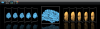 BrainVoyager Viewer