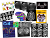 Collage of various results computed using CMTK tools.