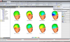 3D Headview