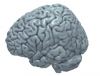 CH256 image