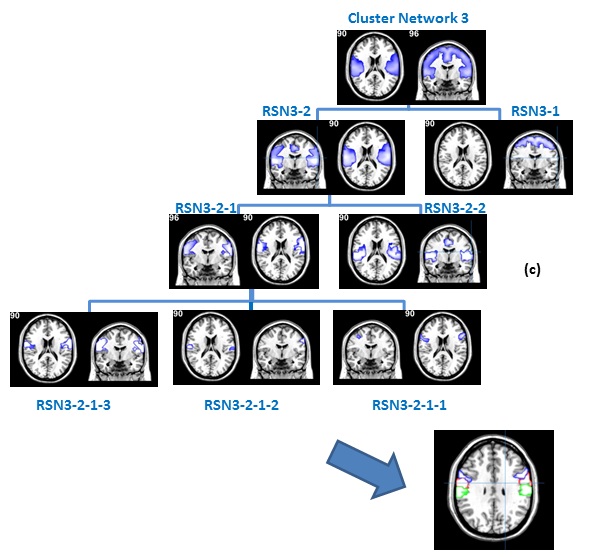 Hierarchical structure of a brain network